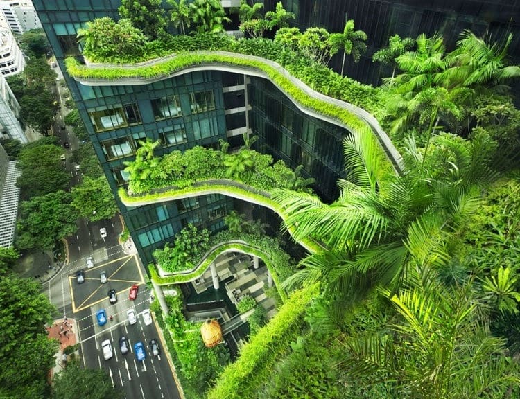 Hệ thống khách sạn Parkroyal - công trình kiến trúc xanh nổi bật tại Singapore