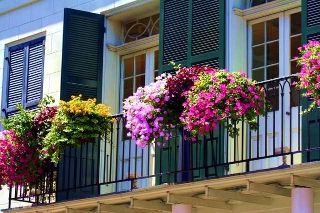 Trang trí ban công nhà phố bằng hoa sẽ khiến nhà bạn trông tươi tắn và sinh khí hơn